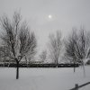 la grande nevicata del febbraio 2012 157